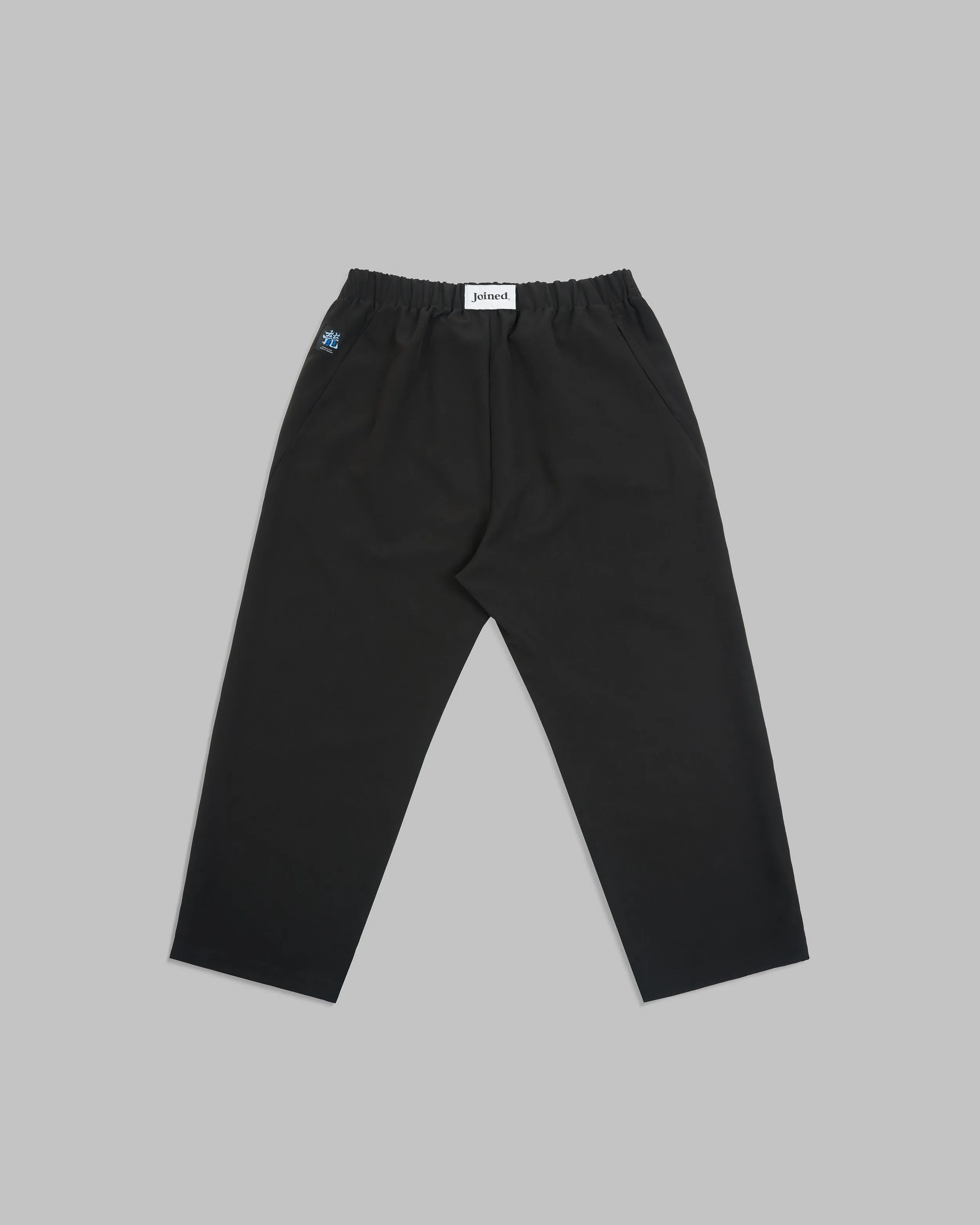 Dragon Pockets Tech Wide Pants